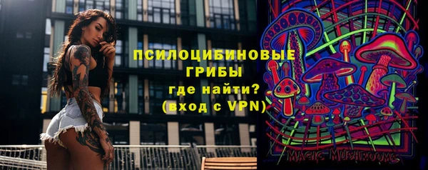дмт Бугульма