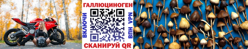 мега как зайти  Электроугли  Галлюциногенные грибы прущие грибы 